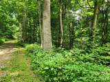 0000 Jacks Knob Road - Photo 2