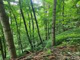 0000 Jacks Knob Road - Photo 3