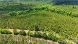 0000 Cool Branch Road - Photo 15