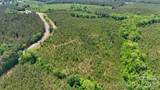 0000 Cool Branch Road - Photo 11