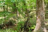 0000 Cool Branch Road - Photo 27