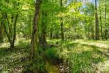 0000 Cool Branch Road - Photo 31