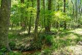 0000 Cool Branch Road - Photo 32
