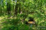 0000 Cool Branch Road - Photo 34