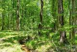 0000 Cool Branch Road - Photo 35