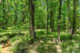 0000 Cool Branch Road - Photo 41