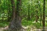 0000 Cool Branch Road - Photo 44