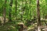 0000 Cool Branch Road - Photo 45