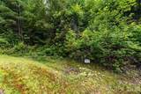 565 Pine Cone Trail - Photo 6