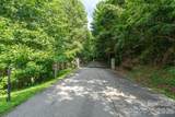 565 Pine Cone Trail - Photo 8