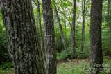 Lot 28 Big Hill Road - Photo 20