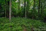 Lot 28 Big Hill Road - Photo 8