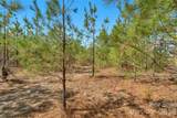 931 Charlie Johnson Road - Photo 13