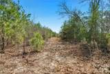 931 Charlie Johnson Road - Photo 23