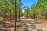 931 Charlie Johnson Road - Photo 30