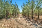 931 Charlie Johnson Road - Photo 35