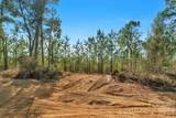 931 Charlie Johnson Road - Photo 9