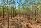 931 Charlie Johnson Road - Photo 10