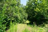 230 White Rapid Road - Photo 8
