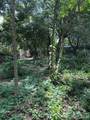 499 Leonard Road - Photo 3