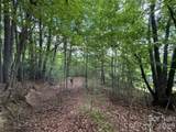 99999 Walking Horse Trail - Photo 15