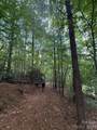 99999 Walking Horse Trail - Photo 16