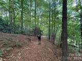 99999 Walking Horse Trail - Photo 18