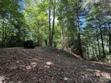 99999 Walking Horse Trail - Photo 3
