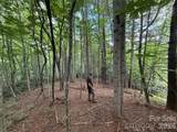 99999 Walking Horse Trail - Photo 24
