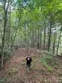 99999 Walking Horse Trail - Photo 29
