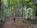 99999 Walking Horse Trail - Photo 30