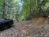 99999 Walking Horse Trail - Photo 4
