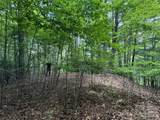 99999 Walking Horse Trail - Photo 32