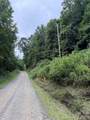 99999 Walking Horse Trail - Photo 9