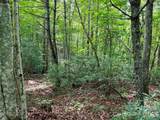 1156 Bear River Lodge Trail - Photo 12