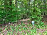 1156 Bear River Lodge Trail - Photo 7