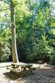 2838 Seven Mile Ridge Road - Photo 47