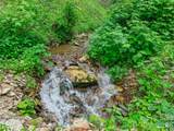 0 Lotties Creek Road - Photo 21