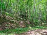 0 Lotties Creek Road - Photo 23
