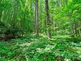 0 Lotties Creek Road - Photo 25