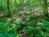 0 Lotties Creek Road - Photo 35