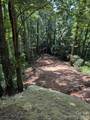97 Hosta Drive - Photo 1