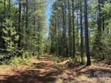 4531 Wilkinsville Highway - Photo 14