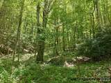 1158 Dark Ridge Road - Photo 5