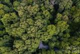 Lot 4 Old Orchard Road - Photo 17