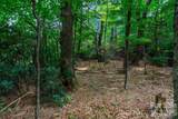 Lot 4 Old Orchard Road - Photo 9