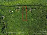 705 Pine Ridge Road - Photo 4