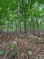 0 Cove Gap Road - Photo 4