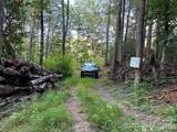 Lot 41 Peace Wood Lane - Photo 3