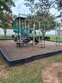 8214 Deodora Cedar Lane - Photo 4